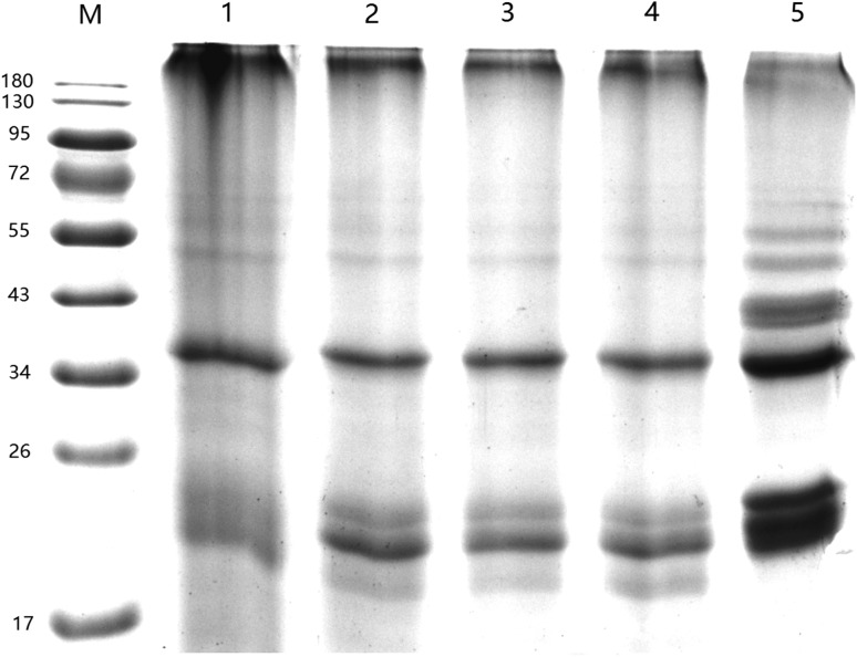 Fig. 6