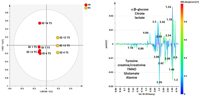 Fig 10