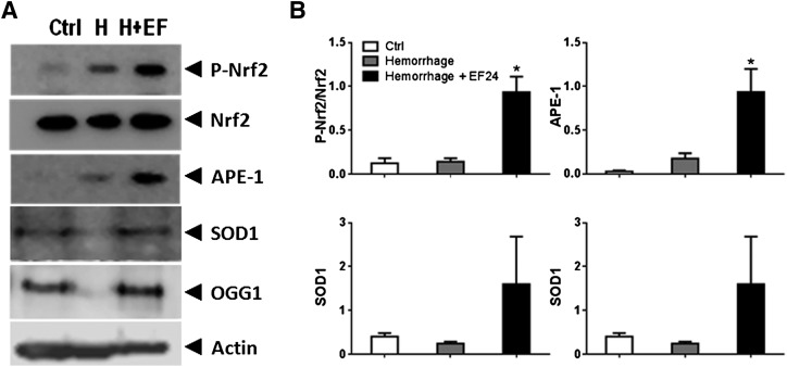 Fig. 8.