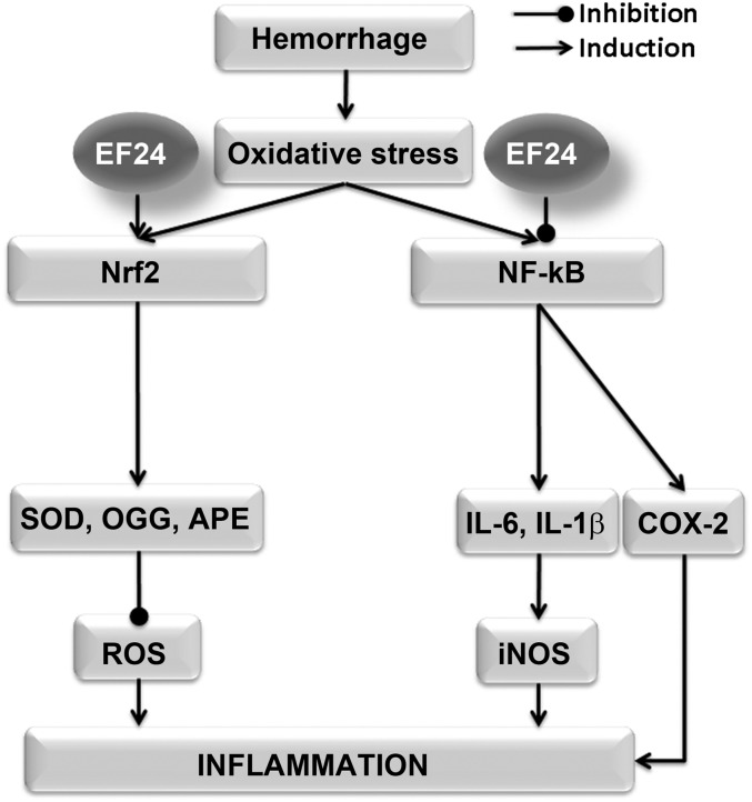 Fig. 10.