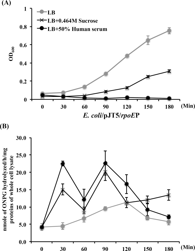 Fig 5