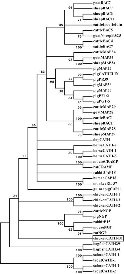 Fig. 5.