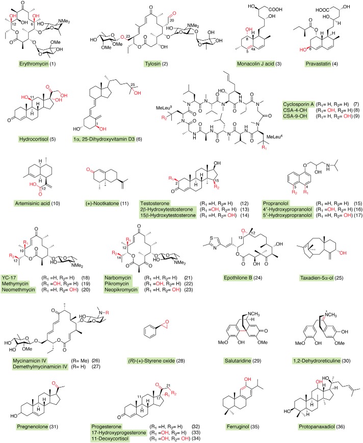 Figure 3.