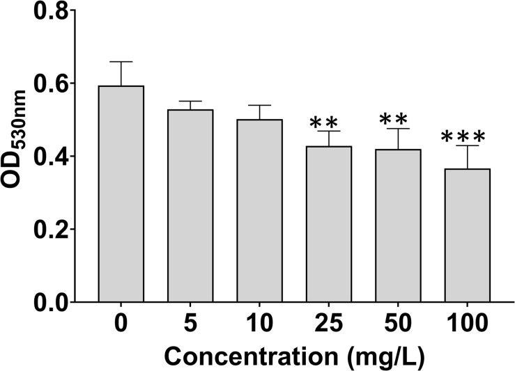 FIGURE 3