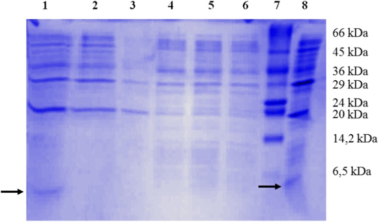 Fig. 2