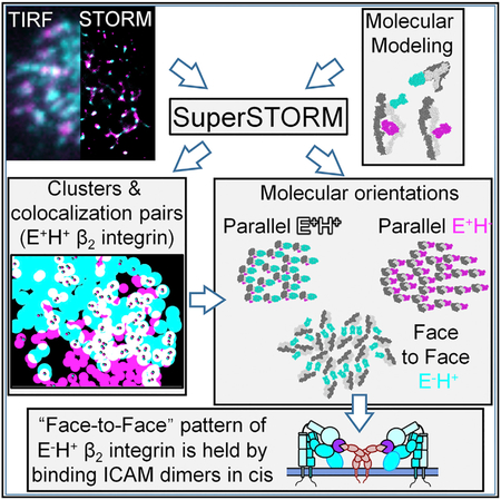 graphic file with name nihms-1517861-f0001.jpg