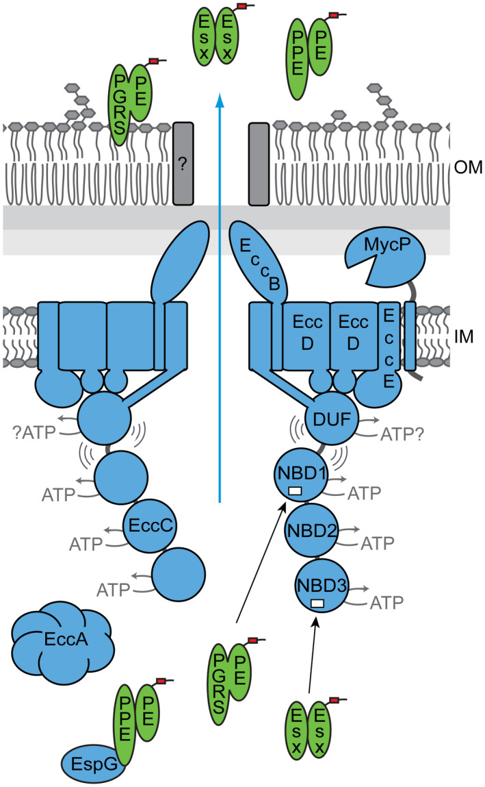 FIGURE 4