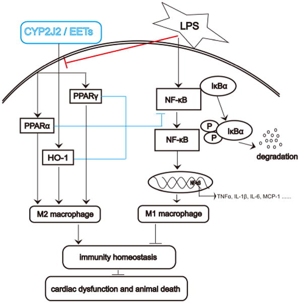 Fig 7