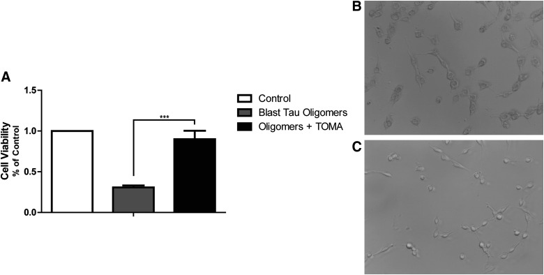 FIG. 6.