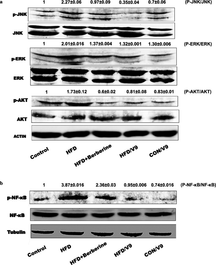 Fig. 6