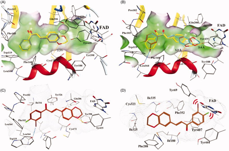 Figure 5.