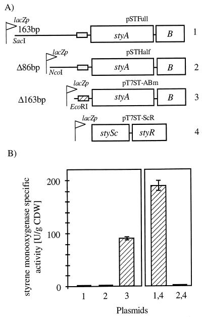 FIG. 3
