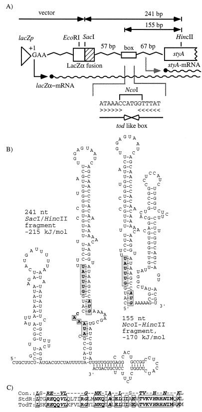 FIG. 6