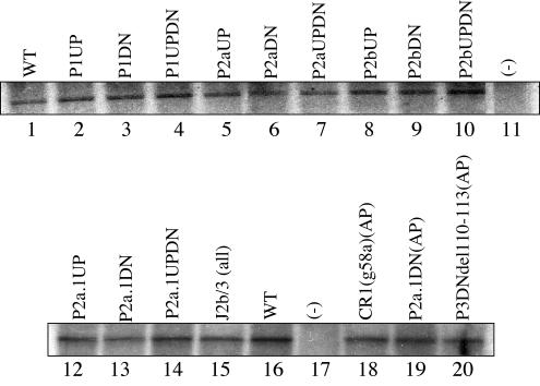 FIG. 6.