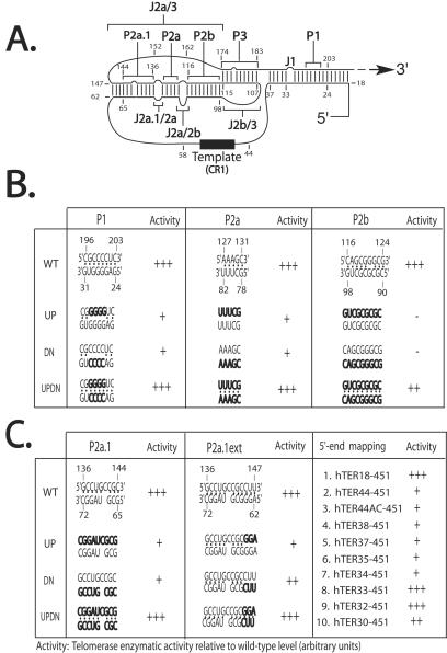 FIG. 1.