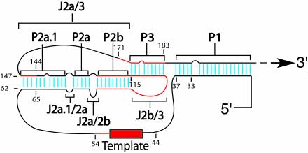 FIG. 7.