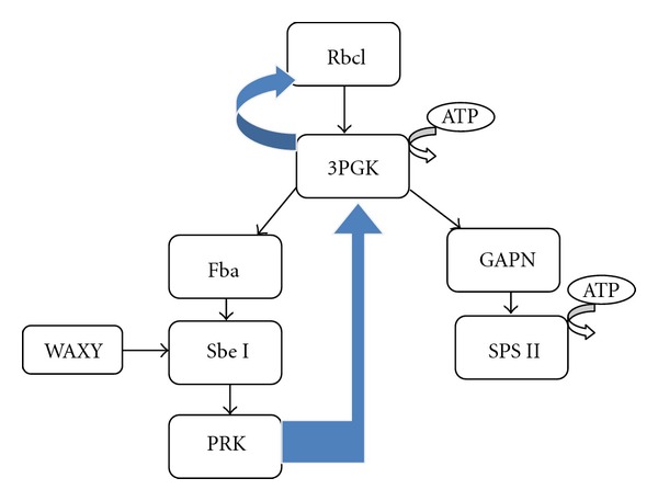 Figure 11