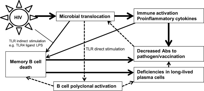 FIG 7