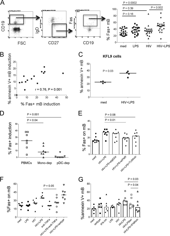 FIG 3