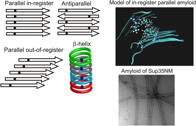 Yeast Prions: Structure, Biology, and Prion-Handling Systems - PMC