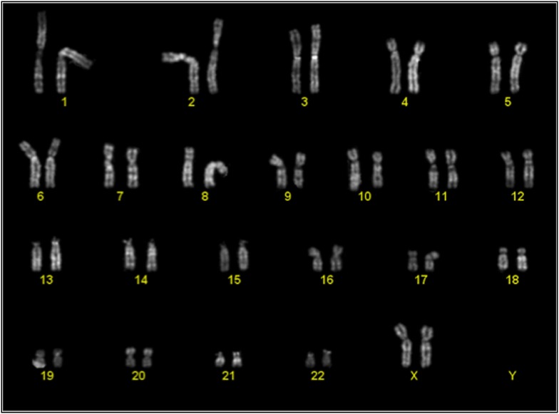 Figure 9