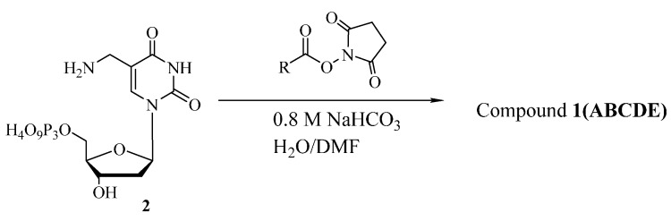 Scheme 1