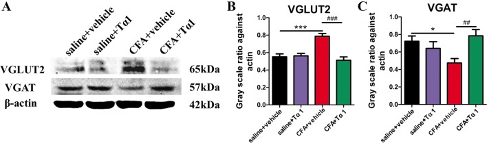 Fig. 6