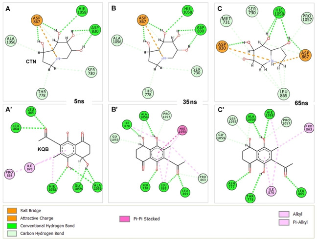 Figure 6