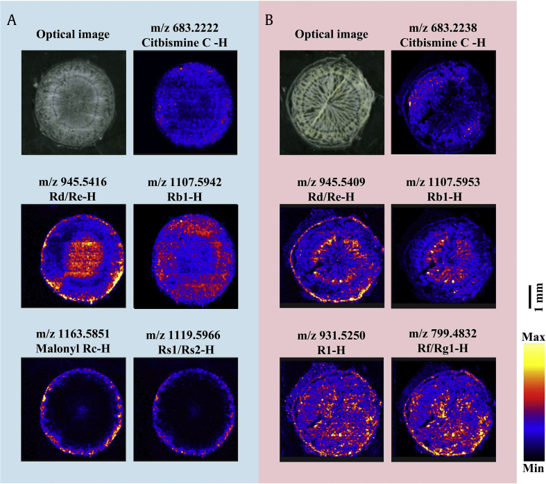 Fig. 1