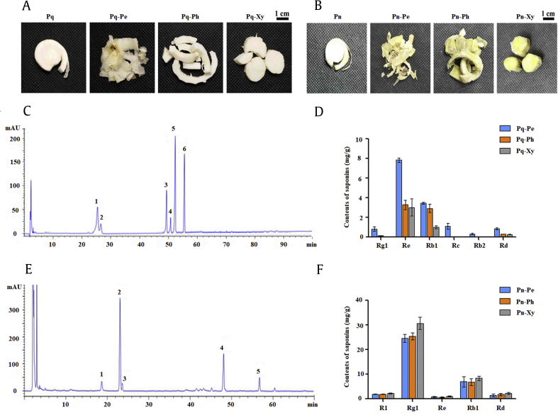 Fig. 2