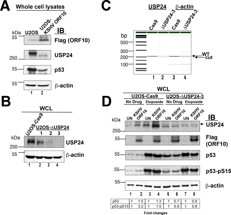 Fig 8