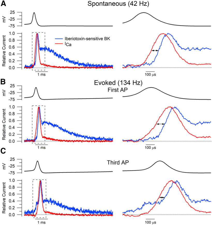 Figure 11.