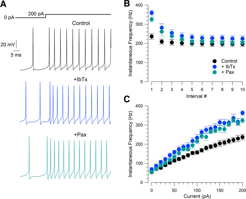 Figure 13.