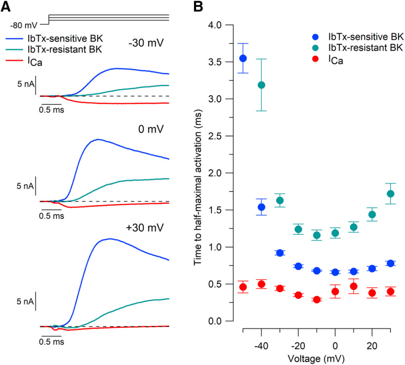 Figure 5.