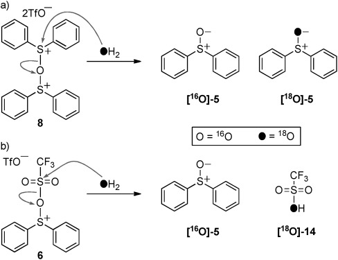 Scheme 4