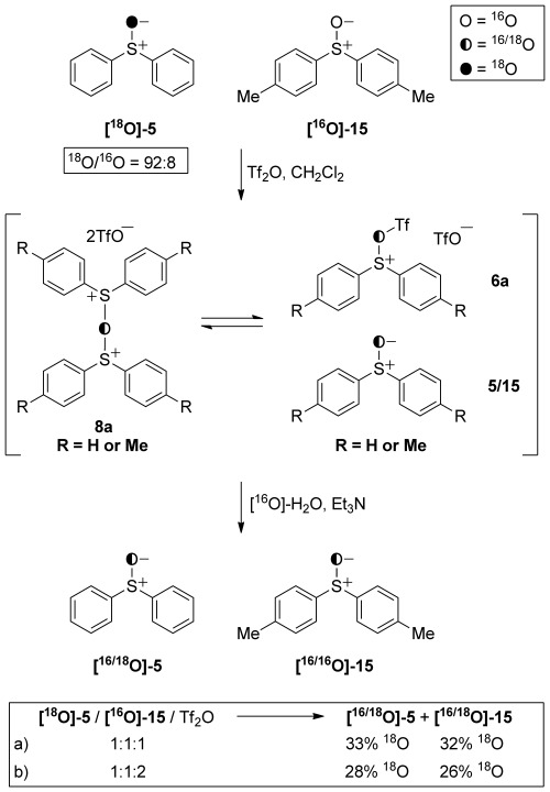 Scheme 5