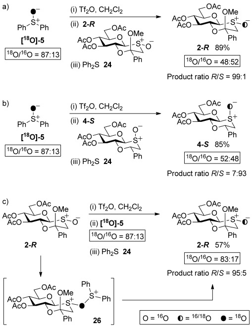 Scheme 8