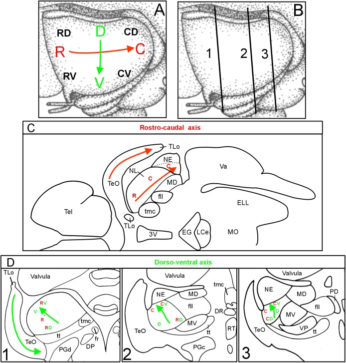 FIGURE 4