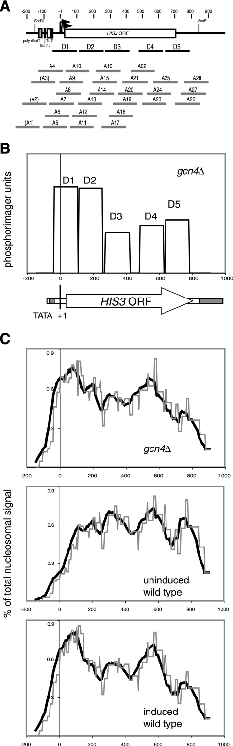 FIG. 7.