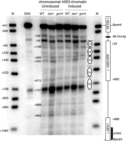 FIG. 4.