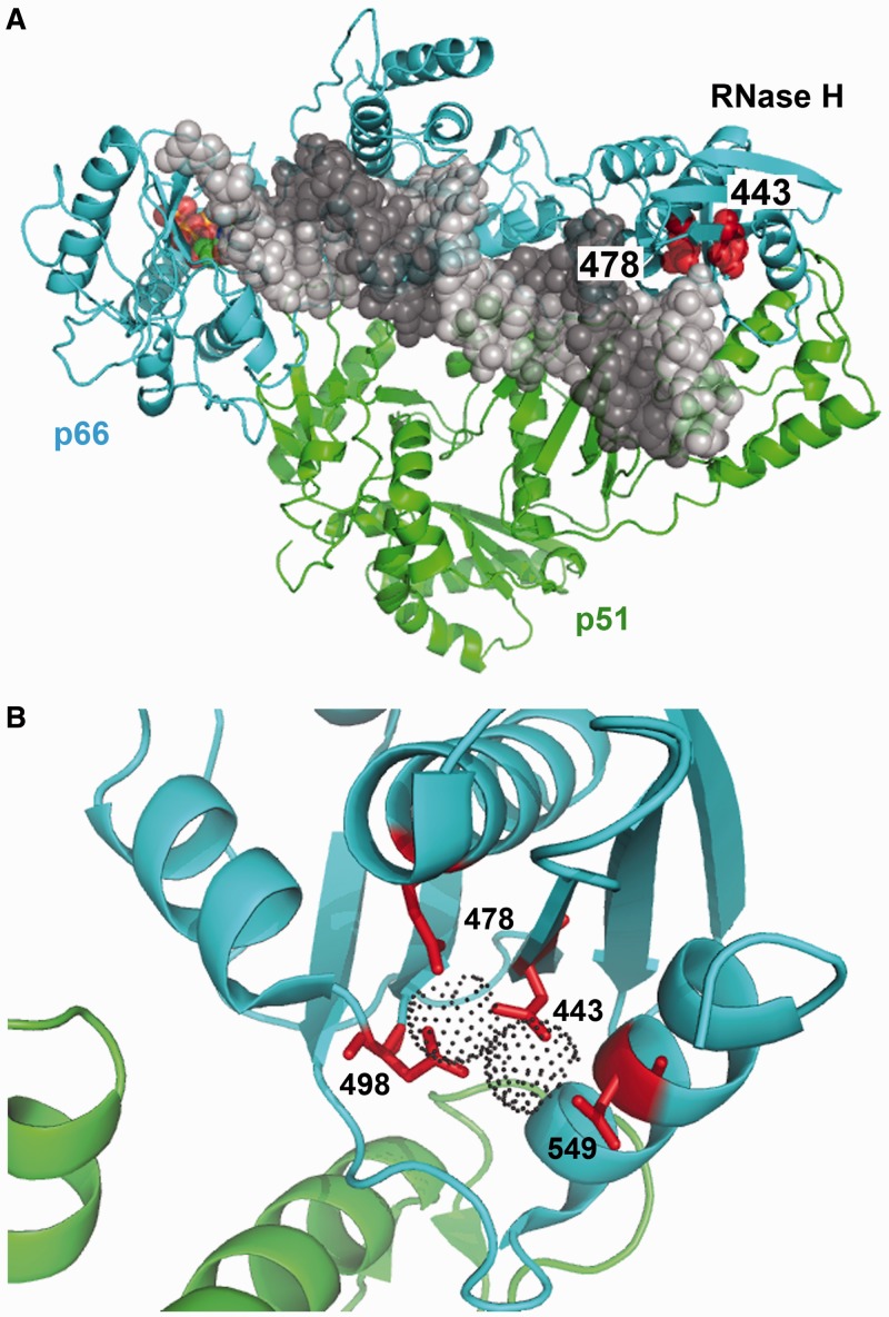 Figure 4.