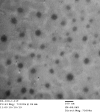 Fig. 11