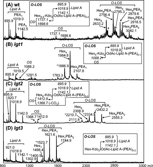 FIG. 3.