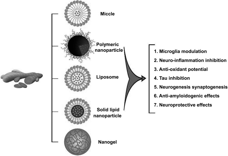 Fig. (1)