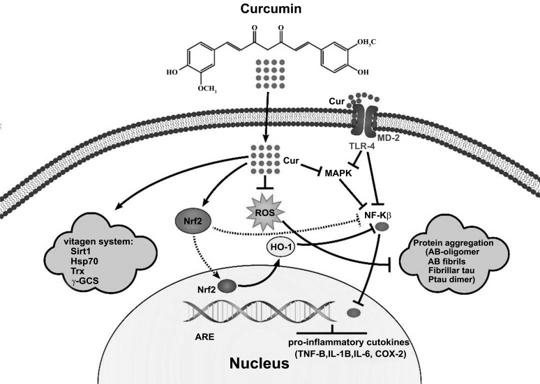 Fig. (2)