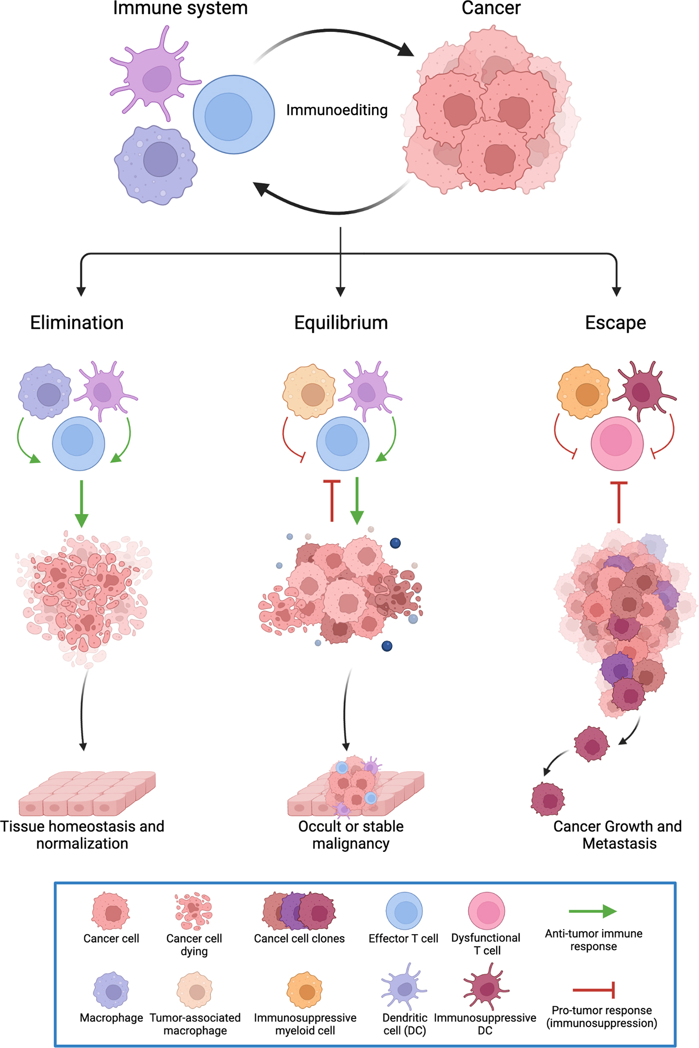 Figure 1: