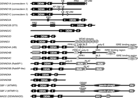 FIGURE 1.