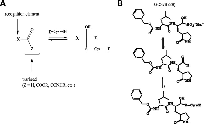 Fig 5