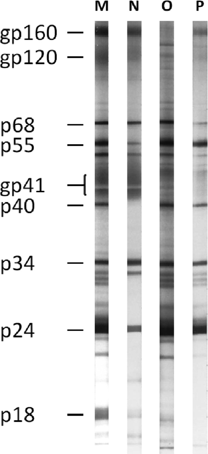 Fig 6