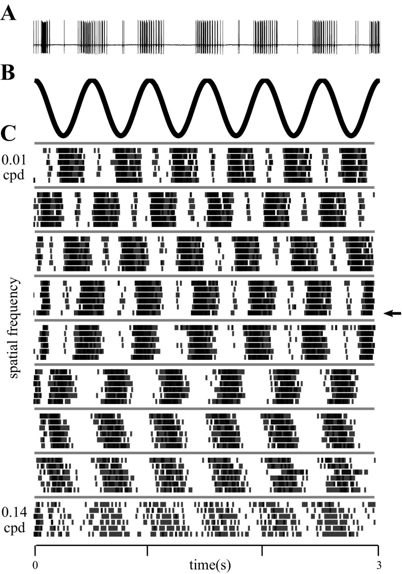 Fig. 6.